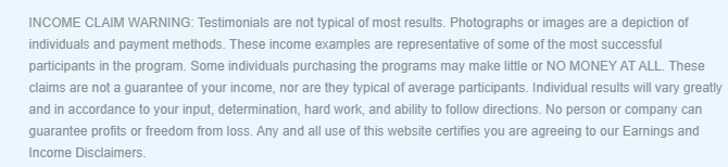 what is millionaire society all about