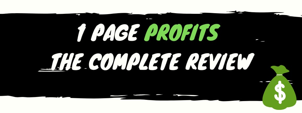 1 page profits review