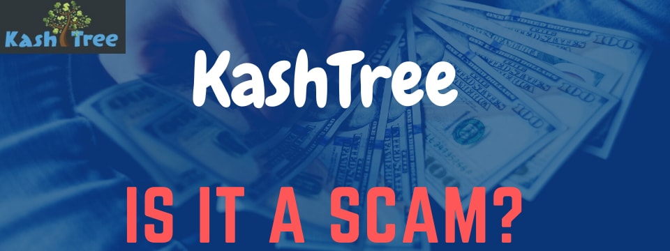 is kashtree a scam