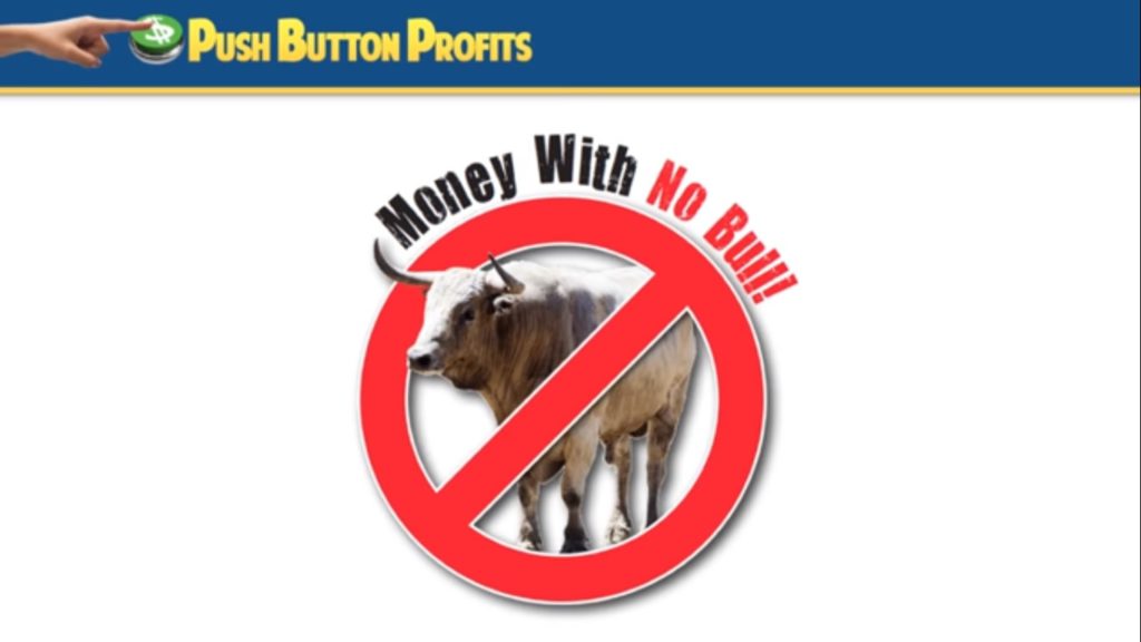 push button profits review inside