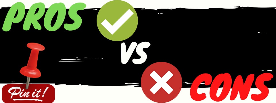 jenna kutcher pinterest lab pros vs cons