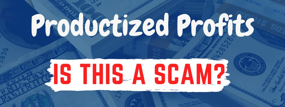 productized profits review