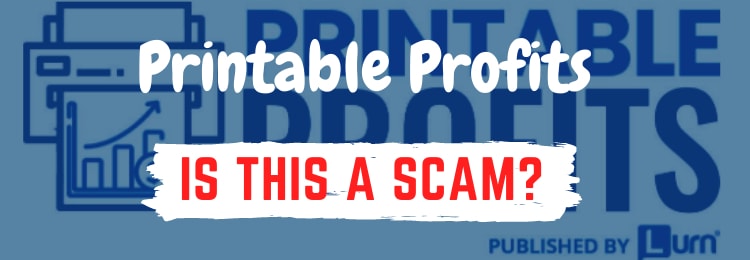 printable profits review