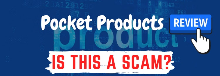 pocket products by Courtney Foster Donahue review