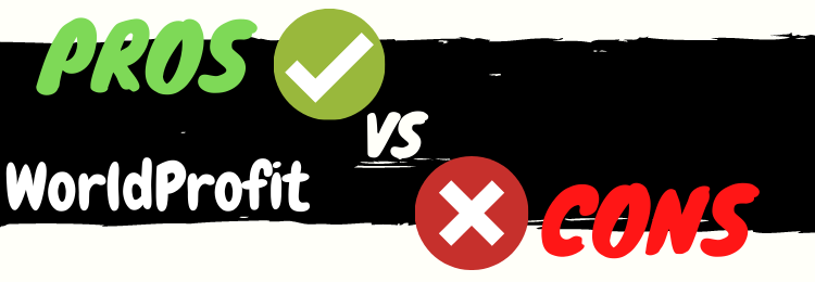 WorldProfit review pros vs cons