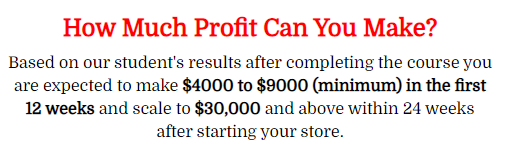 how much profit can you make