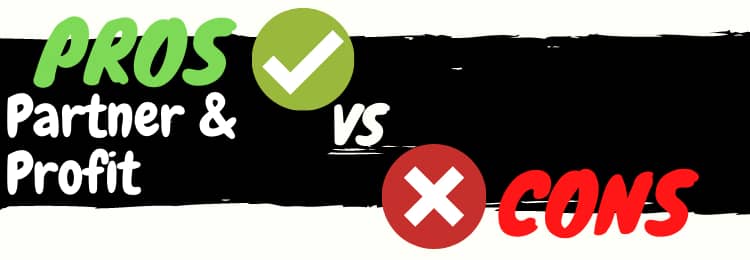 Partner and Profit review pros vs cons