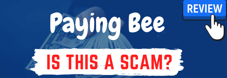 paying bee review