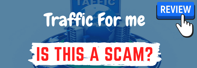 traffic for me review