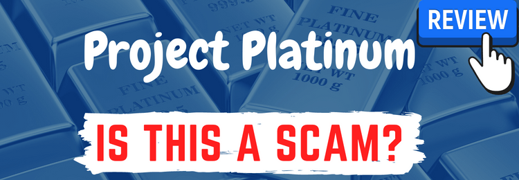 Project Platinum review