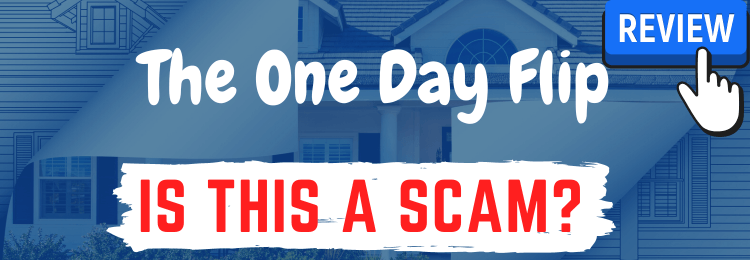 The One Day Flip review