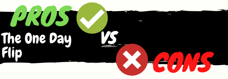 The One Day Flip review pros vs cons